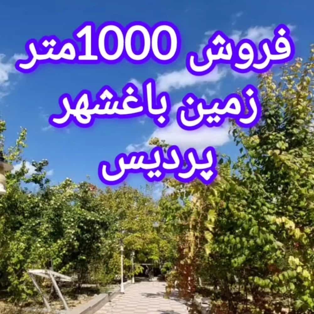 1732258566722.webp